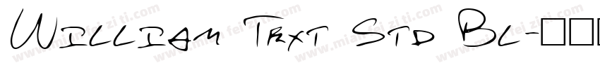 William Text Std Bl字体转换